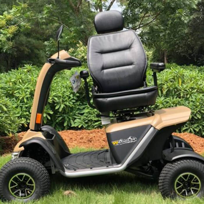 Scooter Elettrico per Anziani e Disabili - Dinamite